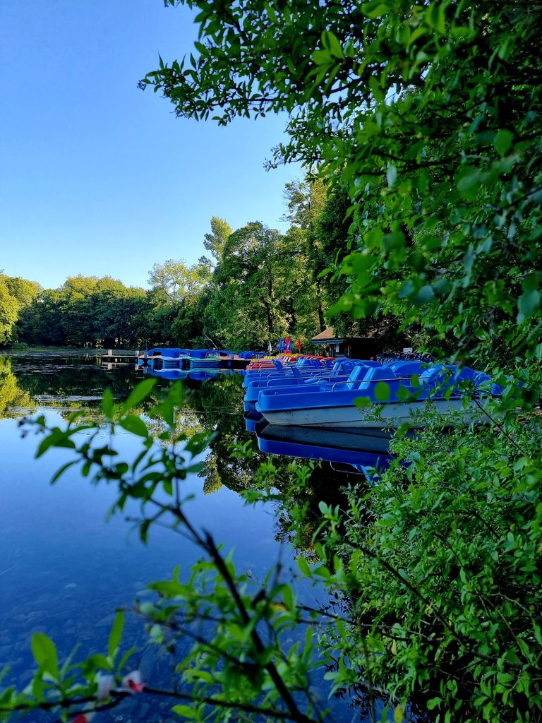 Englischer Garten